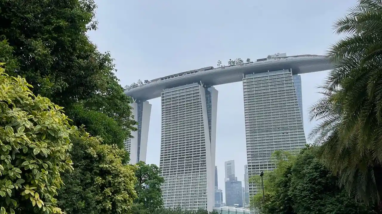 陈枝雨头像